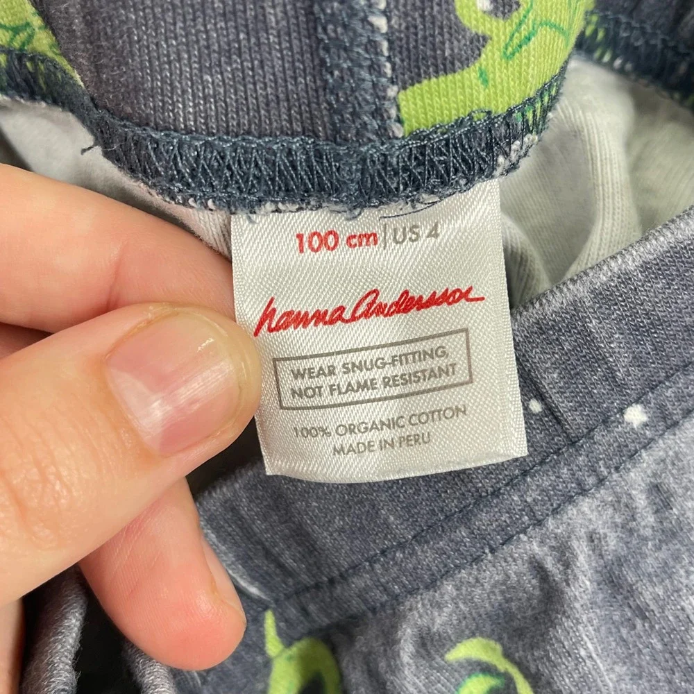 Hanna Andersson Dragon Pajama Set Kids Size 4 Blue Green Organic Cotton PJs
